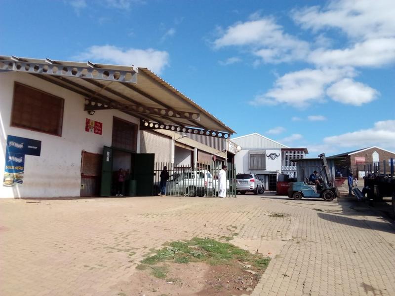 Commercial Property for Sale in Pellsrus Eastern Cape